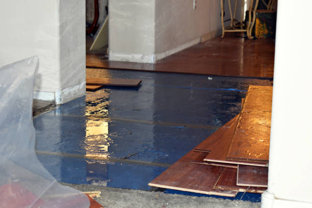 Professional Burst Pipe Cleanup technician working in Yorktown, IN